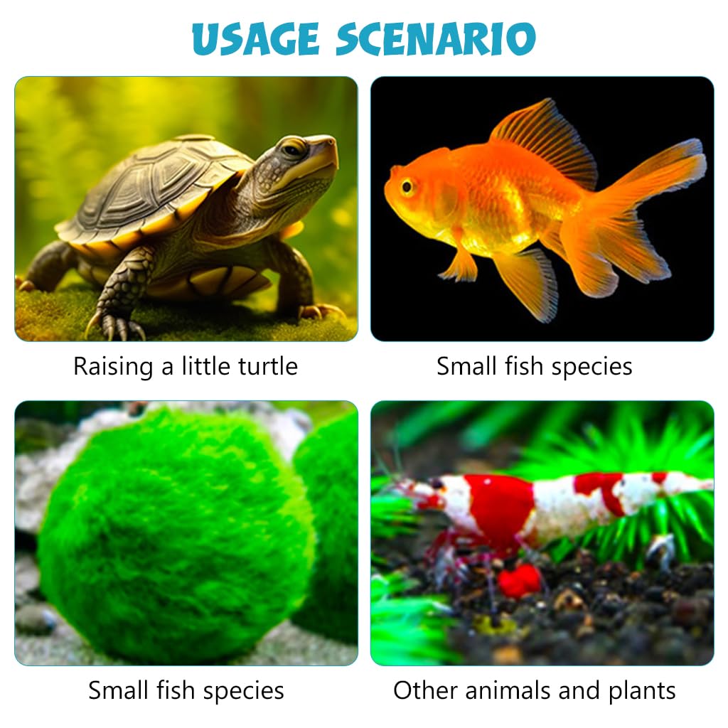 HASTHIP Plastic Fish Tank, Narrow Aquarium, Modern Transparent Fish Bowl, Desktop Goldfish Tank, Clear Betta Fish Tank, Portable Fish Tank with Oxygen Pump Hole HASTHIP Plastic Fish Tank, Narrow Aquarium, Modern Transparent Fish Bowl, Desktop Goldfish Tank, Clear Betta Fish Tank, Portable Fish Tank with Oxygen Pump Hole